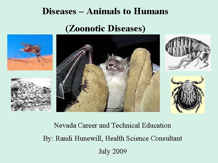 Diseases – Animals to Humans (Zoonotic Diseases) Nevada Career and Technical Education By: Randi