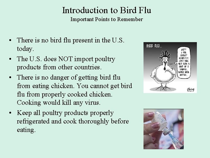 Introduction to Bird Flu Important Points to Remember • There is no bird flu