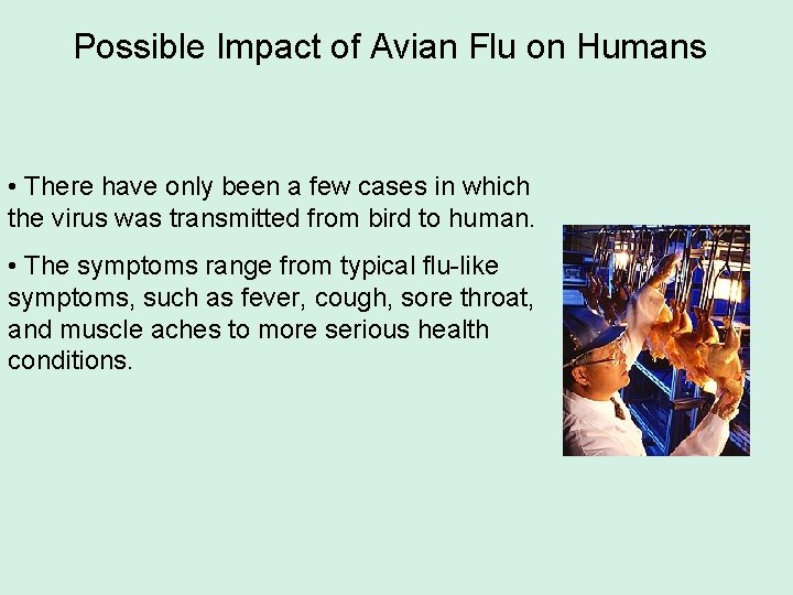 Possible Impact of Avian Flu on Humans • There have only been a few