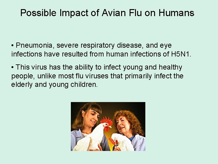 Possible Impact of Avian Flu on Humans • Pneumonia, severe respiratory disease, and eye