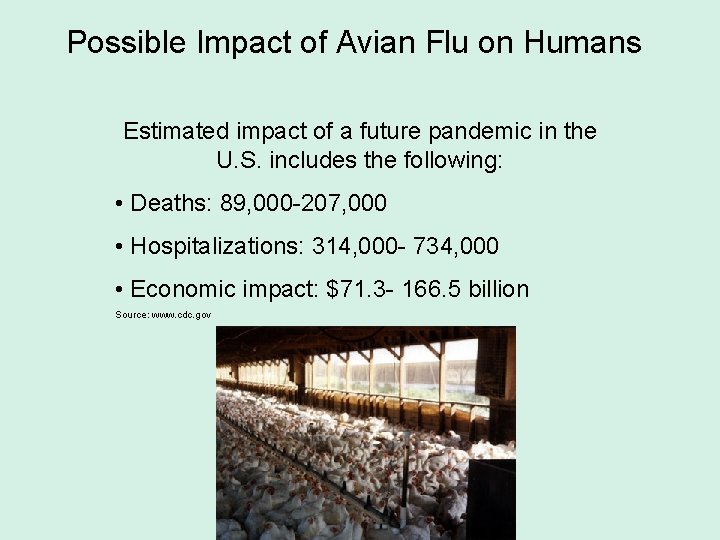 Possible Impact of Avian Flu on Humans Estimated impact of a future pandemic in