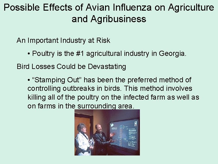 Possible Effects of Avian Influenza on Agriculture and Agribusiness An Important Industry at Risk