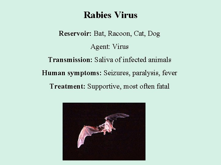 Rabies Virus Reservoir: Bat, Racoon, Cat, Dog Agent: Virus Transmission: Saliva of infected animals