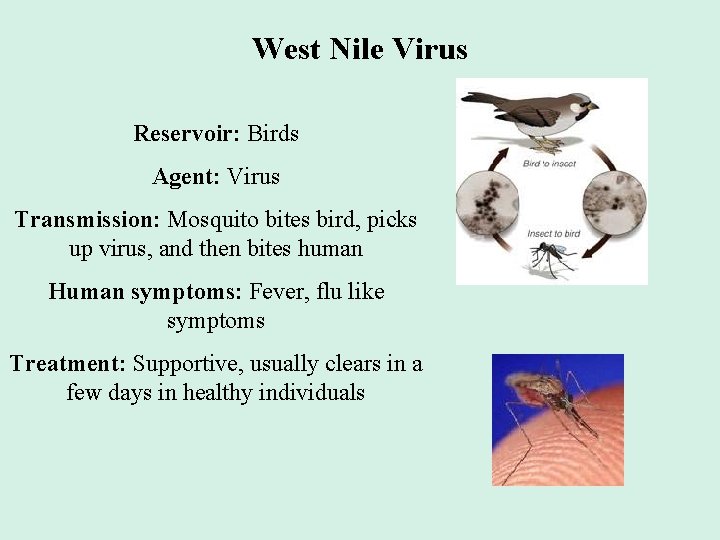 West Nile Virus Reservoir: Birds Agent: Virus Transmission: Mosquito bites bird, picks up virus,