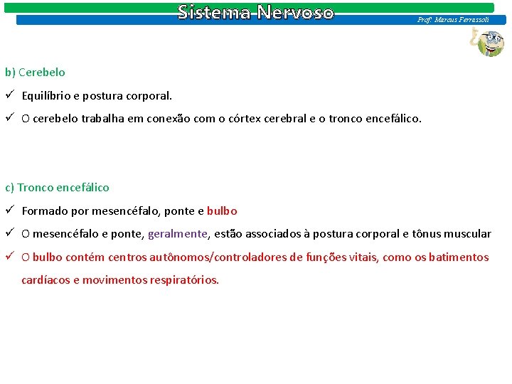 Sistema Nervoso Prof: Marcus Ferrassoli b) Cerebelo ü Equilíbrio e postura corporal. ü O