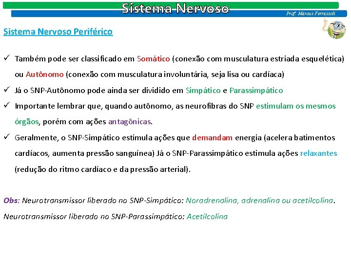 Sistema Nervoso Prof: Marcus Ferrassoli Sistema Nervoso Periférico ü Também pode ser classificado em