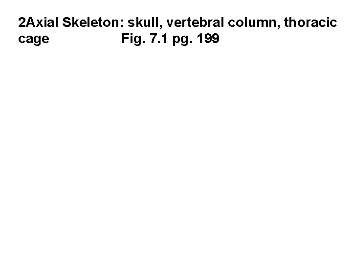 2 Axial Skeleton: skull, vertebral column, thoracic cage Fig. 7. 1 pg. 199 