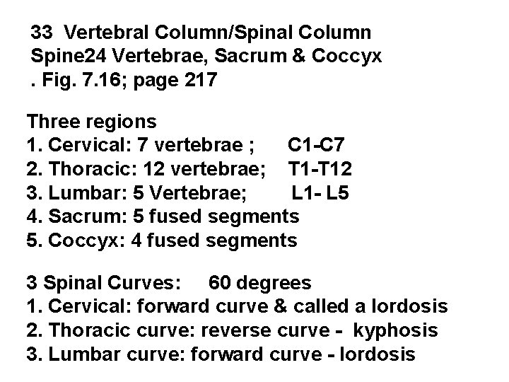 33 Vertebral Column/Spinal Column Spine 24 Vertebrae, Sacrum & Coccyx. Fig. 7. 16; page