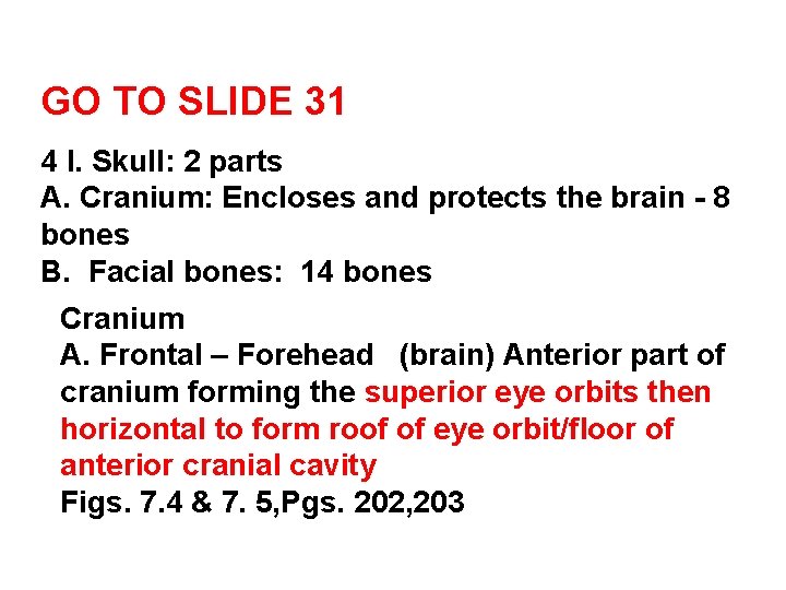 GO TO SLIDE 31 4 I. Skull: 2 parts A. Cranium: Encloses and protects