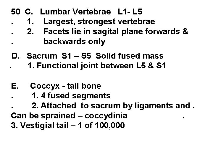 50 C. Lumbar Vertebrae L 1 - L 5. 1. Largest, strongest vertebrae. 2.