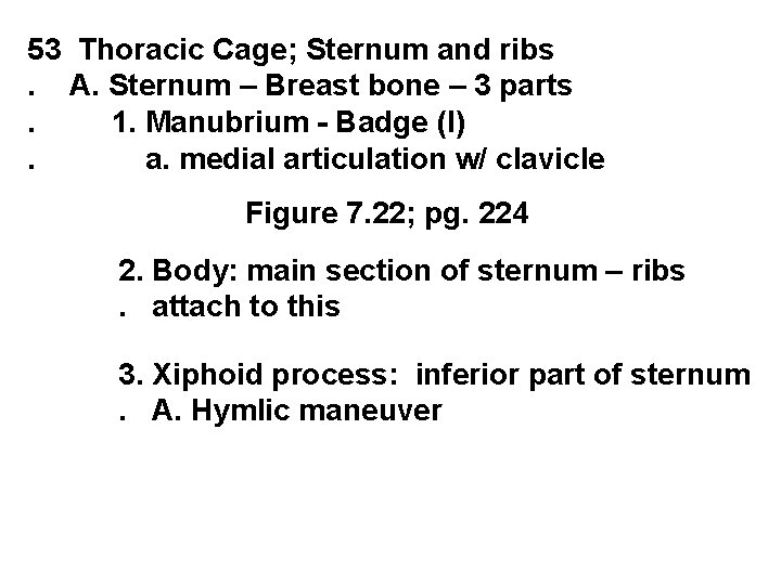 53 Thoracic Cage; Sternum and ribs. A. Sternum – Breast bone – 3 parts.