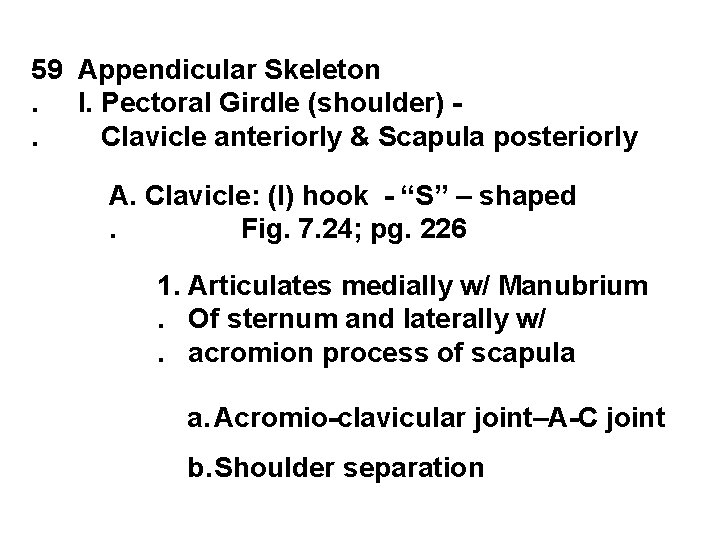 59 Appendicular Skeleton. I. Pectoral Girdle (shoulder). Clavicle anteriorly & Scapula posteriorly A. Clavicle: