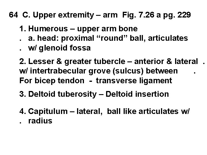 64 C. Upper extremity – arm Fig. 7. 26 a pg. 229 1. Humerous