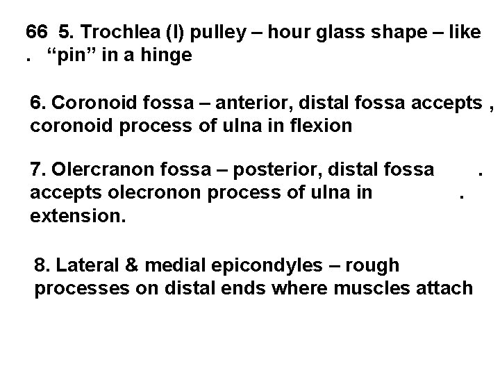 66 5. Trochlea (l) pulley – hour glass shape – like. “pin” in a