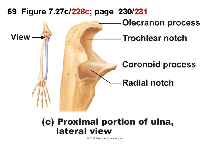 69 Figure 7. 27 c/228 c; page 230/231 