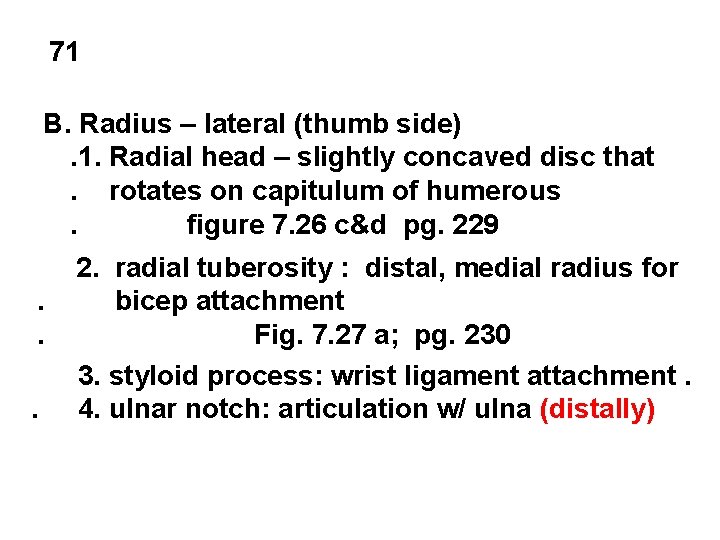71 B. Radius – lateral (thumb side). 1. Radial head – slightly concaved disc