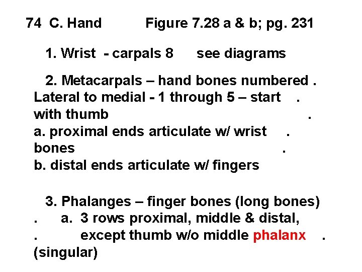 74 C. Hand Figure 7. 28 a & b; pg. 231 1. Wrist -