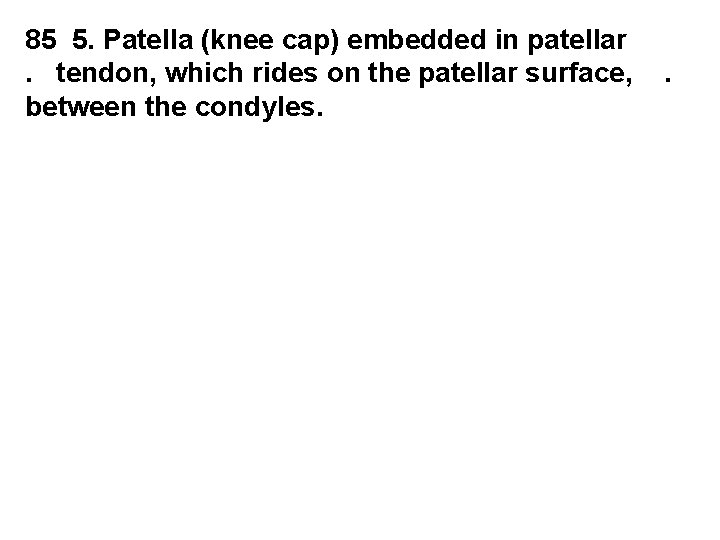 85 5. Patella (knee cap) embedded in patellar. tendon, which rides on the patellar