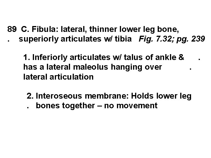 89 C. Fibula: lateral, thinner lower leg bone, . superiorly articulates w/ tibia Fig.