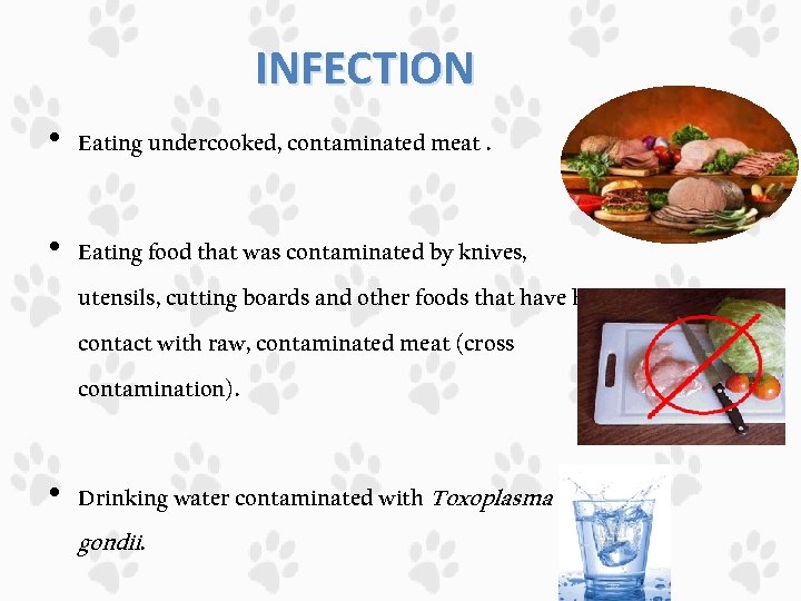 INFECTION • Eating undercooked, contaminated meat. • Eating food that was contaminated by knives,