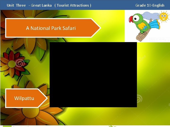Unit Three - Great Lanka ( Tourist Attractions ) A National Park Safari Wilpattu