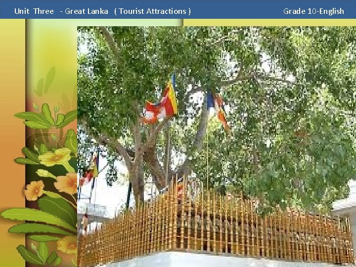 Unit Three - Great Lanka ( Tourist Attractions ) The Sacred Bo Tree. Grade