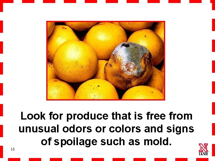 16 Look for produce that is free from unusual odors or colors and signs