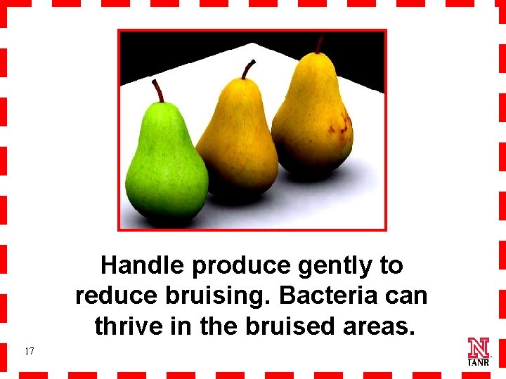 Handle produce gently to reduce bruising. Bacteria can thrive in the bruised areas. 17