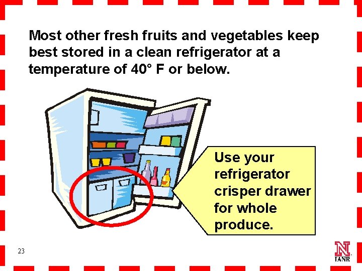 Most other fresh fruits and vegetables keep best stored in a clean refrigerator at