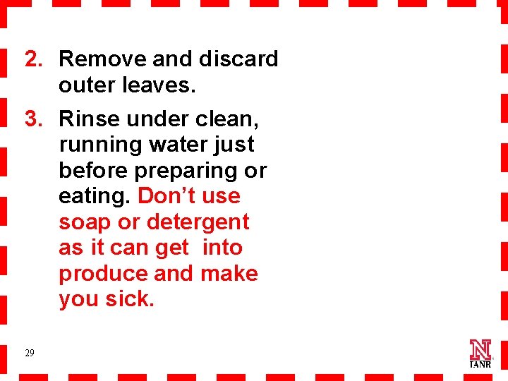 2. Remove and discard outer leaves. 3. Rinse under clean, running water just before
