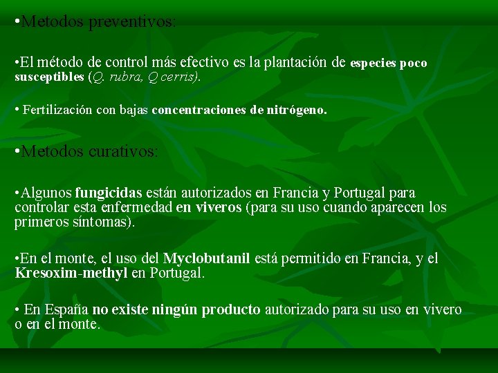  • Metodos preventivos: • El método de control más efectivo es la plantación