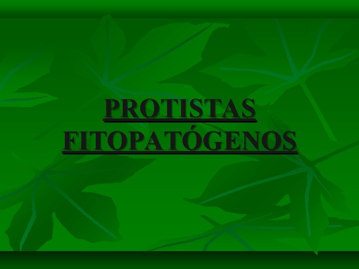 PROTISTAS FITOPATÓGENOS 