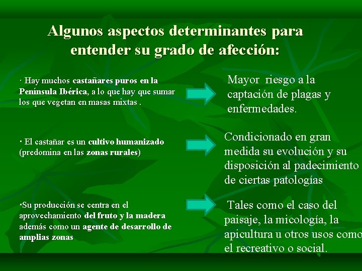 Algunos aspectos determinantes para entender su grado de afección: · Hay muchos castañares puros