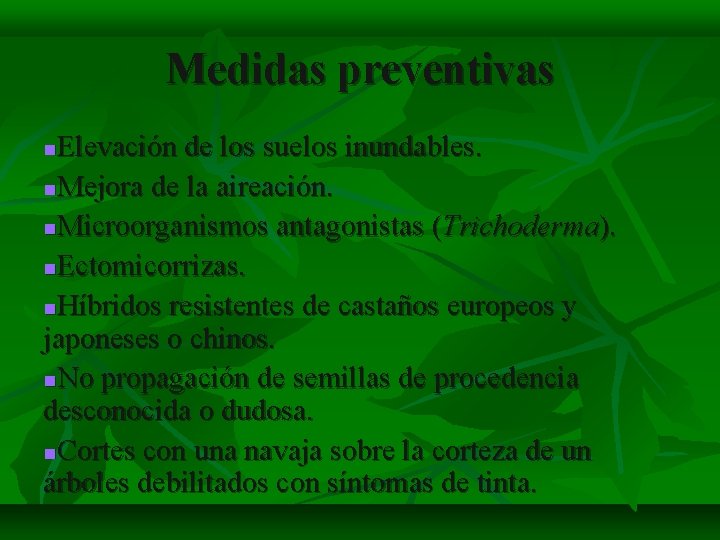 Medidas preventivas Elevación de los suelos inundables. Mejora de la aireación. Microorganismos antagonistas (Trichoderma).