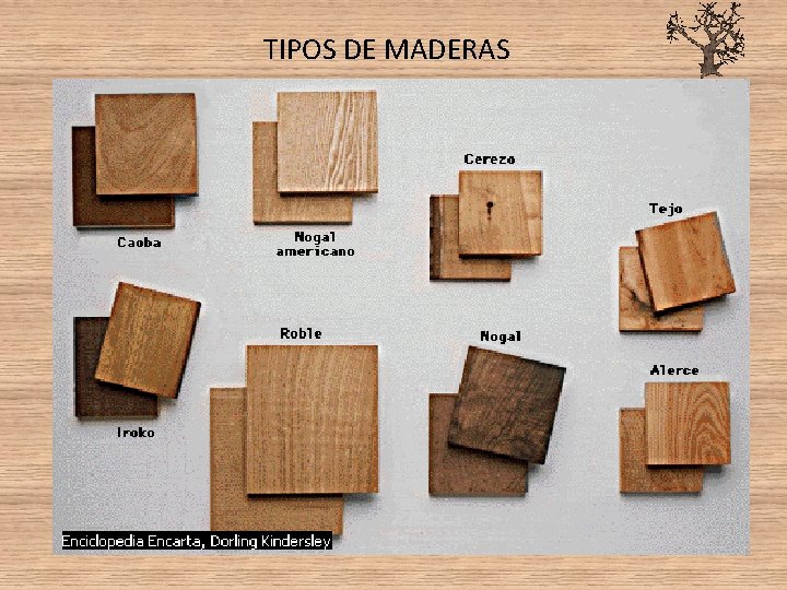 TIPOS DE MADERAS TIPOS DE MADERAS