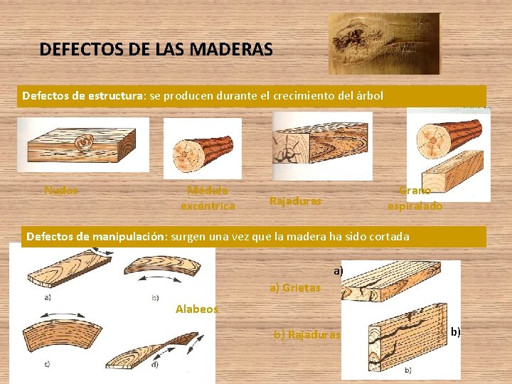 DEFECTOS DE LAS MADERAS Defectos de estructura: se producen durante el crecimiento del árbol DEFECTOS DE LAS MADERAS Defectos de estructura: se producen durante el crecimiento del árbol