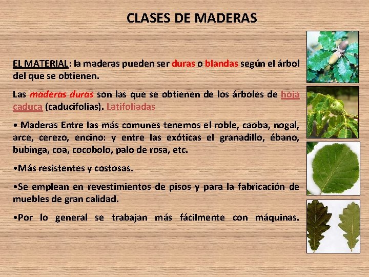CLASES DE MADERAS EL MATERIAL: la maderas pueden ser duras o blandas según el CLASES DE MADERAS EL MATERIAL: la maderas pueden ser duras o blandas según el