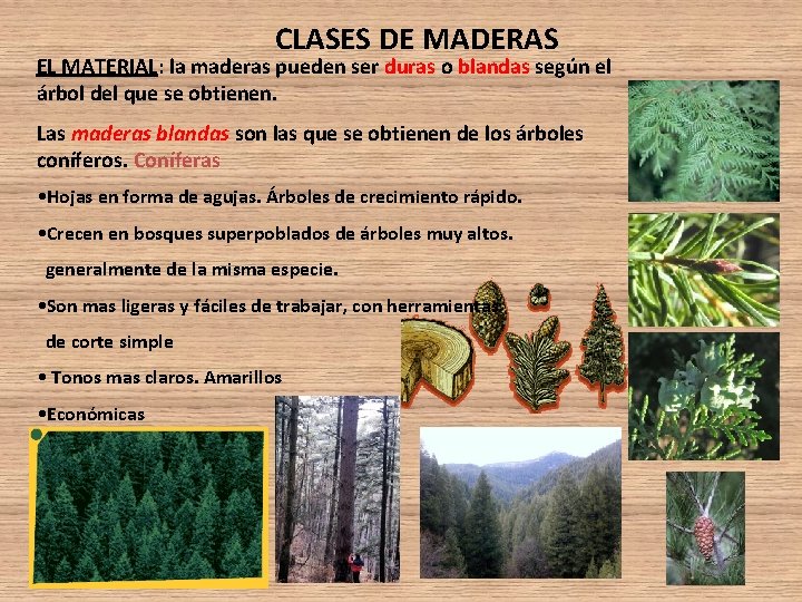 CLASES DE MADERAS EL MATERIAL: la maderas pueden ser duras o blandas según el CLASES DE MADERAS EL MATERIAL: la maderas pueden ser duras o blandas según el