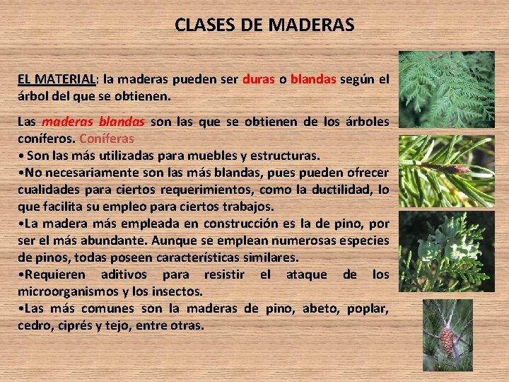 CLASES DE MADERAS EL MATERIAL: la maderas pueden ser duras o blandas según el CLASES DE MADERAS EL MATERIAL: la maderas pueden ser duras o blandas según el