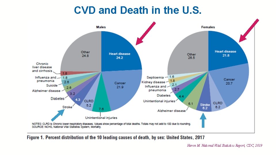 CVD and Death in the U. S. It begins in childhood Heron M. National