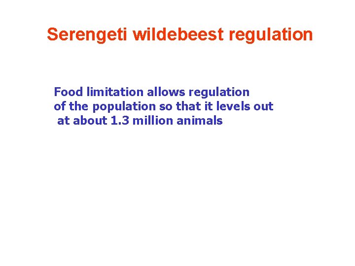 Serengeti wildebeest regulation Food limitation allows regulation of the population so that it levels