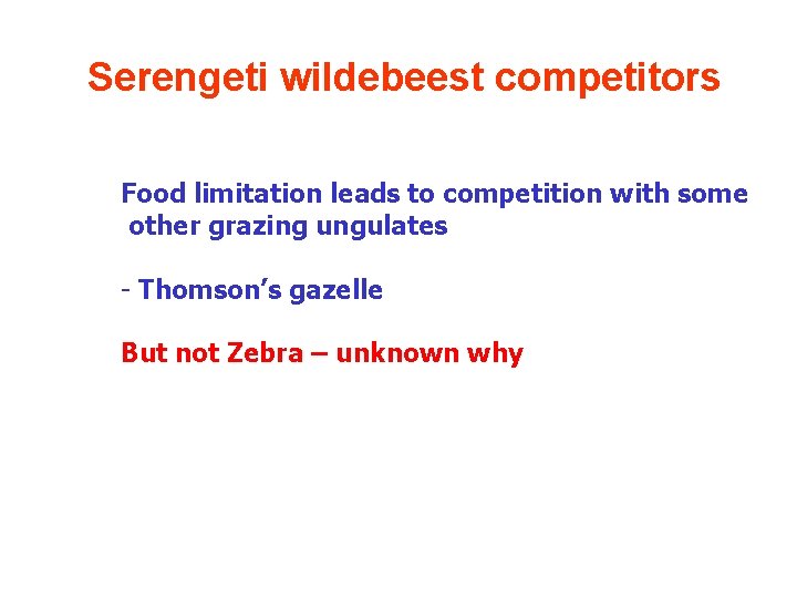 Serengeti wildebeest competitors Food limitation leads to competition with some other grazing ungulates -