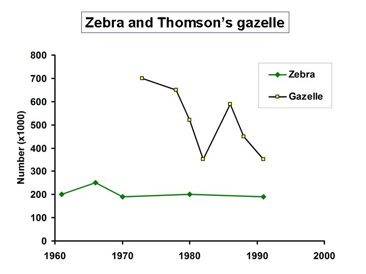 Zebra and Thomson’s gazelle 