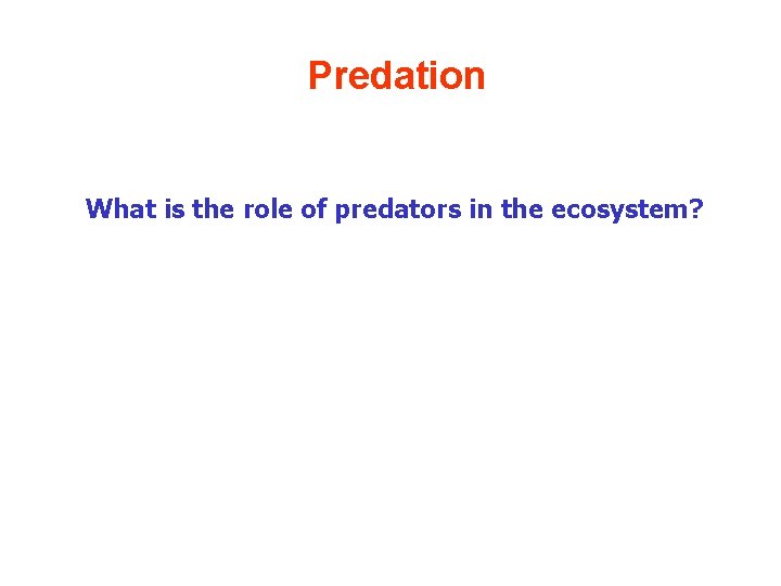 Predation What is the role of predators in the ecosystem? 