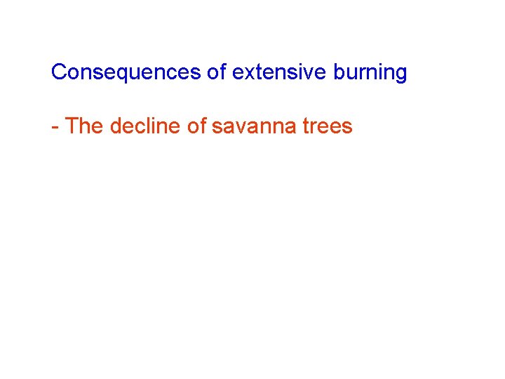 Consequences of extensive burning - The decline of savanna trees 