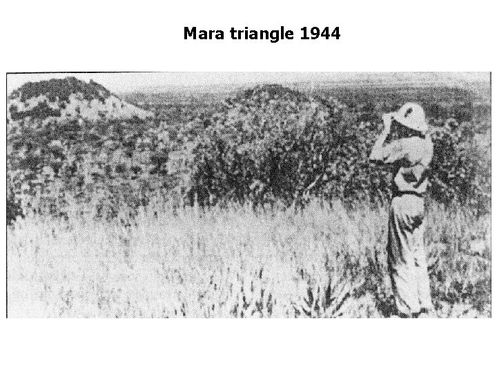 Mara triangle 1944 