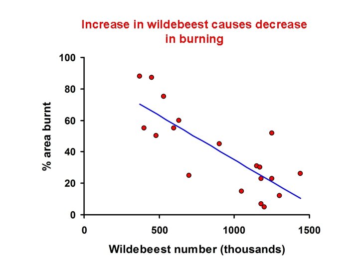 Increase in wildebeest causes decrease in burning 