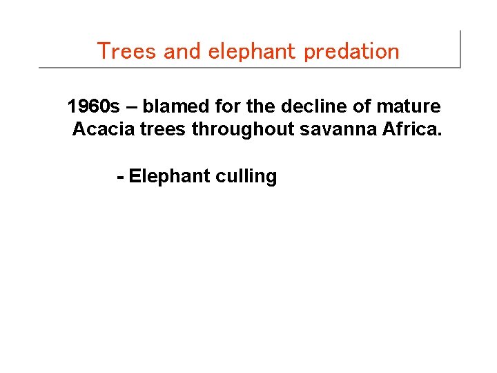 Trees and elephant predation 1960 s – blamed for the decline of mature Acacia