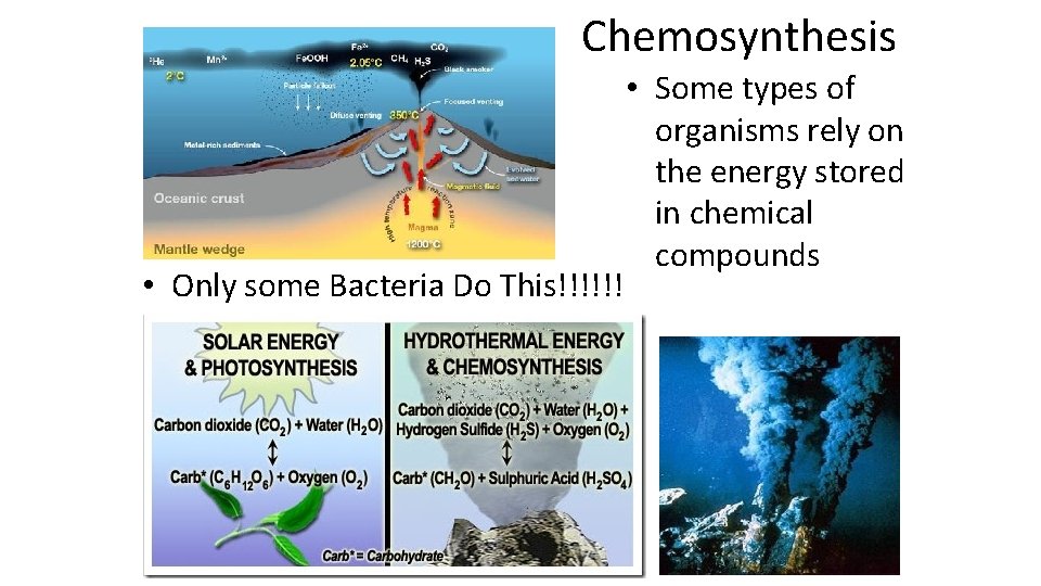 Chemosynthesis • Only some Bacteria Do This!!!!!! • Some types of organisms rely on