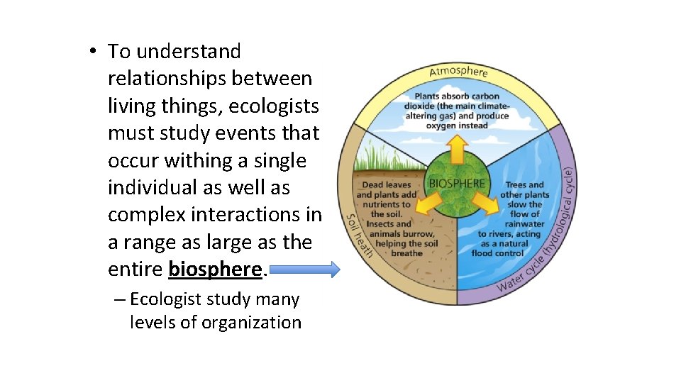  • To understand relationships between living things, ecologists must study events that occur